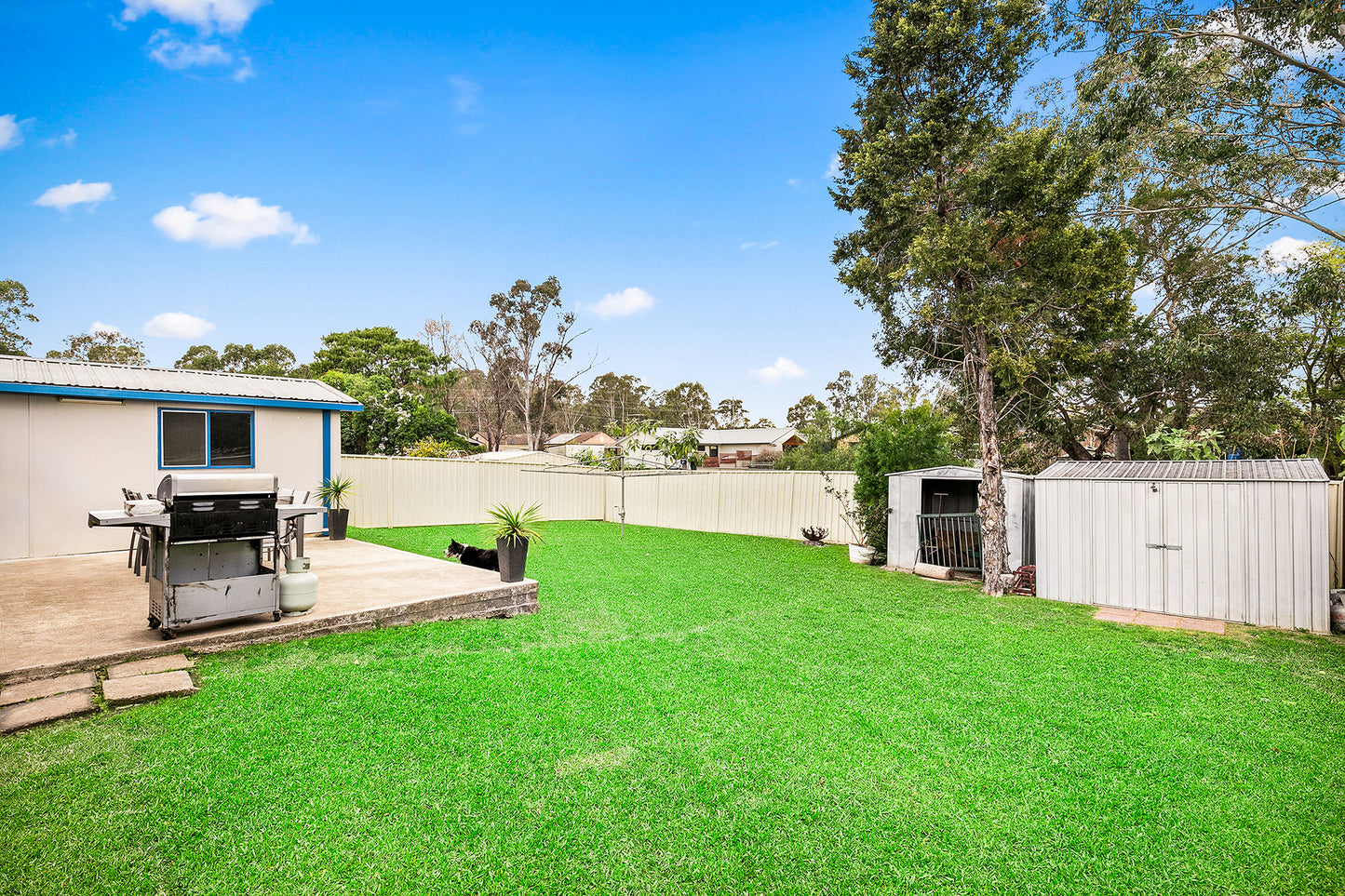 8 Harpur Crescent, South Windsor, NSW 2756 - SOLD MORE BUYERS WAITING